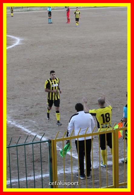 181111 Cepha_Milazzo 237_tn.JPG
